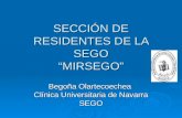 SECCIÓN DE RESIDENTES DE LA SEGO “MIRSEGO” Begoña Olartecoechea Clínica Universitaria de Navarra SEGO.