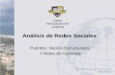Análisis de Redes Sociales Puentes, Vacíos Estructurales Y Roles de Corretaje.