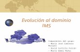 Evolución al dominio IMS Componentes del grupo: María José Caminero Marqués David Castillo Falcón Marta Gómez Muñoz.