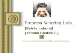 Empresa Schering Ltda. [Estrés Laboral] [Yemma Castelli F.] // mail: ycastelli@ycastellif.clycastelli@ycastellif.cl.