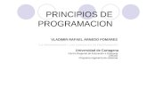 PRINCIPIOS DE PROGRAMACION VLADIMIR RAFAEL ARNEDO POMARES “LA PROGRAMACION Y LOS LENGUAJES DE PROGRAMCION” Universidad de Cartagena Centro Regional de.