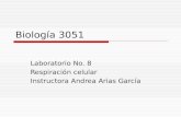 Biología 3051 Laboratorio No. 8 Respiración celular Instructora Andrea Arias García.