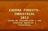 CADENA FORESTO- INDUSTRIAL 2013 Curso de Introducción a las Ciencias Agrarias y Forestales.