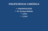 INSUFICIENCIA CARDÍACA FISIOPATOLOGÍA Dr. Enrique Bolado U.P.E. 2.014 1.