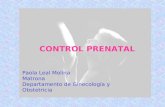 CONTROL PRENATAL Paola Leal Molina Matrona Departamento de Ginecología y Obstetricia.