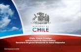 Chile Crece Contigo Subsecretaría de Salud Pública Secretaría Regional Ministerial de Salud Valparaíso 9 de Noviembre de 2010.