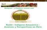 Redd+ Indígena Amazónico : Avances y Perspectivas en Perú Bosques y Pueblos somos uno solo.