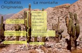 Culturas Originarias Subregiones Noroeste Atacamas Diaguitas Omaguacas Lules vilelas Tonocotes La montaña Subregión Sierras Centrales Subregión Cuyo Comechingones.