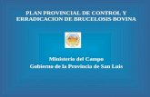 PLAN PROVINCIAL DE CONTROL Y ERRADICACION DE BRUCELOSIS BOVINA Ministerio del Campo Gobierno de la Provincia de San Luis.