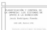 Planificación y control de la empresa. Jesús Rodríguez Pomeda, IADE-UAM, 19961 PLANIFICACIÓN Y CONTROL DE LA EMPRESA: LOS SISTEMAS DE APOYO A LA DIRECCIÓN.