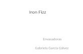 Iron Fizz Envasadoras Gabriela García Gálvez. Características del servicio logístico  Calidad  Cantidad  Volumen  Tiempo  Transporte  Manipulación.