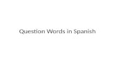 Question Words in Spanish. Things or actions ¿Qué?