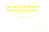 Comportamiento Organizacional Idalberto Chiavenato Prof. Pablo Marin.