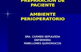 PREPARACIÓN DE PACIENTE AMBIENTE PERIOPERATORIO SRA. CARMEN SEPULVEDA ENFERMERA PABELLONES QUIRÚRGICOS.