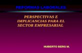 REFORMAS LABORALES PERSPECTIVAS E IMPLICANCIAS PARA EL SECTOR EMPRESARIAL HUBERTO BERG M.