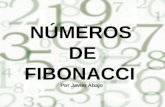 NÚMEROS DE FIBONACCI Por Javier Abajo. ¿Quién es Fibonacci? -Leonardo Bigollo (Fibonacci) nació en 1180. -Su padre, le inició en asuntos de negocios y.