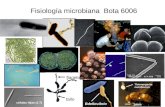 Fisiología microbiana Bota 6006 flagelo tallo. 1 ~1500 nucleotides Secondary structure of 16S rRNA.