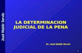 José Waldir Servín LA DETERMINACION JUDICIAL DE LA PENA Dr. José Waldir Servín Dr. José Waldir Servín 11.