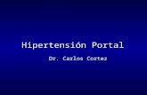 Hipertensión Portal Dr. Carlos Cortez. Hipertensión Portal mecánico dinámico.Fenómeno fisiopatológico primordial es el aumento mecánico al flujo portal,