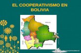 EL COOPERATIVISMO EN BOLIVIA. LAS SOCIEDADES DE COOPERATIVAS SE CREAN MEDIANTE LEY GENERAL DE SOCIEDADES DE COOPERATIVAS “L.G.S.C.” EN DICIEMBRE DE 1957.