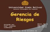 Universidad Simón Bolívar Gerencia Estratégica de Proyecto Bravo, David Rey, Javier Roa, Carlos Dirigido por: Prof. Leopoldo Colmenares Sartenejas, 24.