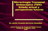 Microcirugía Transanal Endoscópica (TEM) Estado actual y perspectivas futuras Dr. Javier Ernesto Barreras González Centro Nacional de Cirugía de Mínimo.