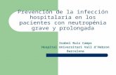 Prevención de la infección hospitalaria en los pacientes con neutropénia grave y prolongada Isabel Ruiz Camps Hospital Universitari Vall d’Hebron Barcelona.