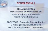 FISIOLOGIA I TEMA NUMERO 5 Mecanismos de transporte de iones y solutos a través de membranas biológicas PROFESOR: Gregorio Tiskow, Ph.Sc. E-mail: gtiskow@ucla.edu.ve.