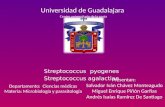 Universidad de Guadalajara Centro universitario de la costa Streptococcus pyogenes Streptococcus agalactiae Departamento: Ciencias médicas Materia: Microbiología.