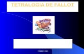 CARDIO-UAG TETRALOGIA DE FALLOT Depto. Cardiología, Facultad de Medicina, UAG.