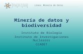 Línea: Minería de Datos Minería de datos y biodiversidad Instituto de Biología Instituto de Investigaciones Nucleares CCADET.