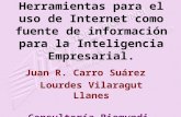 Herramientas para el uso de Internet como fuente de información para la Inteligencia Empresarial. Juan R. Carro Suárez Lourdes Vilaragut Llanes Consultoría.