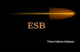 ESB Víctor Cabrera Cañizares. Enterprise Service Bus ESB Un ESB nos ofrece todas las herramientas y la infraestructura necesarias para construir un SOA.