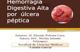 Hemorragia Digestiva Alta por úlcera péptica Autores: Al. Eleanis Palomo Caro. Tutora: DrC. Mirtha Infante Velázquez Facultad de Ciencias Médicas “Calixto.