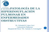 Dr. Orlando R. López Jové Laboratorio Pulmonar Hospital del Tórax “Dr. Antonio A. Cetrángolo” F ISIOPATOLOGÍA DE LA HIPERINSUFLACIÓN PULMONAR EN ENFERMEDADES.