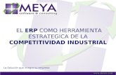 La Solución que integra su empresa EL ERP COMO HERRAMIENTA ESTRATEGICA DE LA COMPETITIVIDAD INDUSTRIAL.