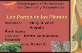 Las Partes de las Plantas Maestras:Milly Rivera Angela Rodríguez Escuela: Berta Zalduondo, Fajardo Capacitadora: Asbel R. Santana Escuela: Alianza para.