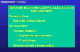Reproducción y Herencia TIPOS DE REPRODUCCIÓN CELULAR Y DE ORGANISMOS En procariotas: División (fisión) binaria En eucariotas: Asexual (mitosis) Reproducción.