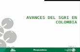Ing. JCD Página 1 AVANCES DEL SGRI EN COLOMBIA. Ing. JCD Página 2 Implementación del SGRI 11.0405.05 04.06 06.06 10.05 Diseño y Planeación (DP) Implementación.