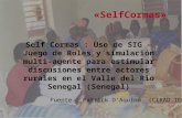 « SelfCormas » Self Cormas : Uso de SIG – Juego de Roles y simulación multi-agente para estimular discusiones entre actores rurales en el Valle del Rio.