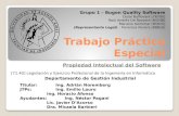 Trabajo Práctico Especial Propiedad Intelectual del Software [71.40] Legislación y Ejercicio Profesional de la Ingeniería en Informática Departamento de.