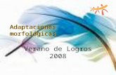 Adaptaciones morfológicas Verano de Logros 2008. Adaptaciones morfológicas Capacitador: Nancy Hernández Maestra: Iris Y. Ruiz García Escuela: Centro Comunal.