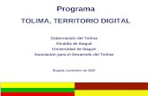 Programa TOLIMA, TERRITORIO DIGITAL Gobernación del Tolima Alcaldía de Ibagué Universidad de Ibagué Asociación para el Desarrollo del Tolima Bogotá, noviembre.
