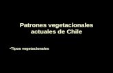 Patrones vegetacionales actuales de Chile Tipos vegetacionales.