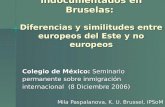 Inmigrantes indocumentados en Bruselas: Diferencias y similitudes entre europeos del Este y no europeos Colegio de México: Seminario permanente sobre inmigración.