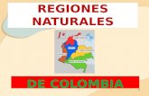 REGIONES NATURALES DE COLOMBIA 1. De acuerdo con el concepto de región, la división más corriente de Colombia es en 6 grandes regiones naturales, como.