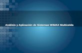 Análisis y Aplicación de Sistemas WiMAX Multicelda.