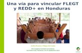 Una vía para vincular FLEGT y REDD+ en Honduras Avilio Álvarez y Filippo Del Gatto Pre Congreso Forestal Comunitario San Pedro Sula, Honduras, 24-25 septiembre.