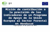 Misión de contribución a la precisión de los indicadores de un Programa de Apoyo de la Unión Europea al Sector Forestal en Honduras JORGE AGULLA MENONI.