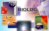 BIOLOG. ALGUNOS CRITERIOS PARA IDENTIFICAR BACTERIAS * Características microscópicas. * Características de crecimiento. * Características bioquímicas.